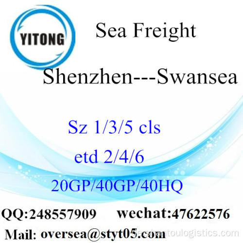 Shenzhen Port Sea Freight Versand nach Swansea